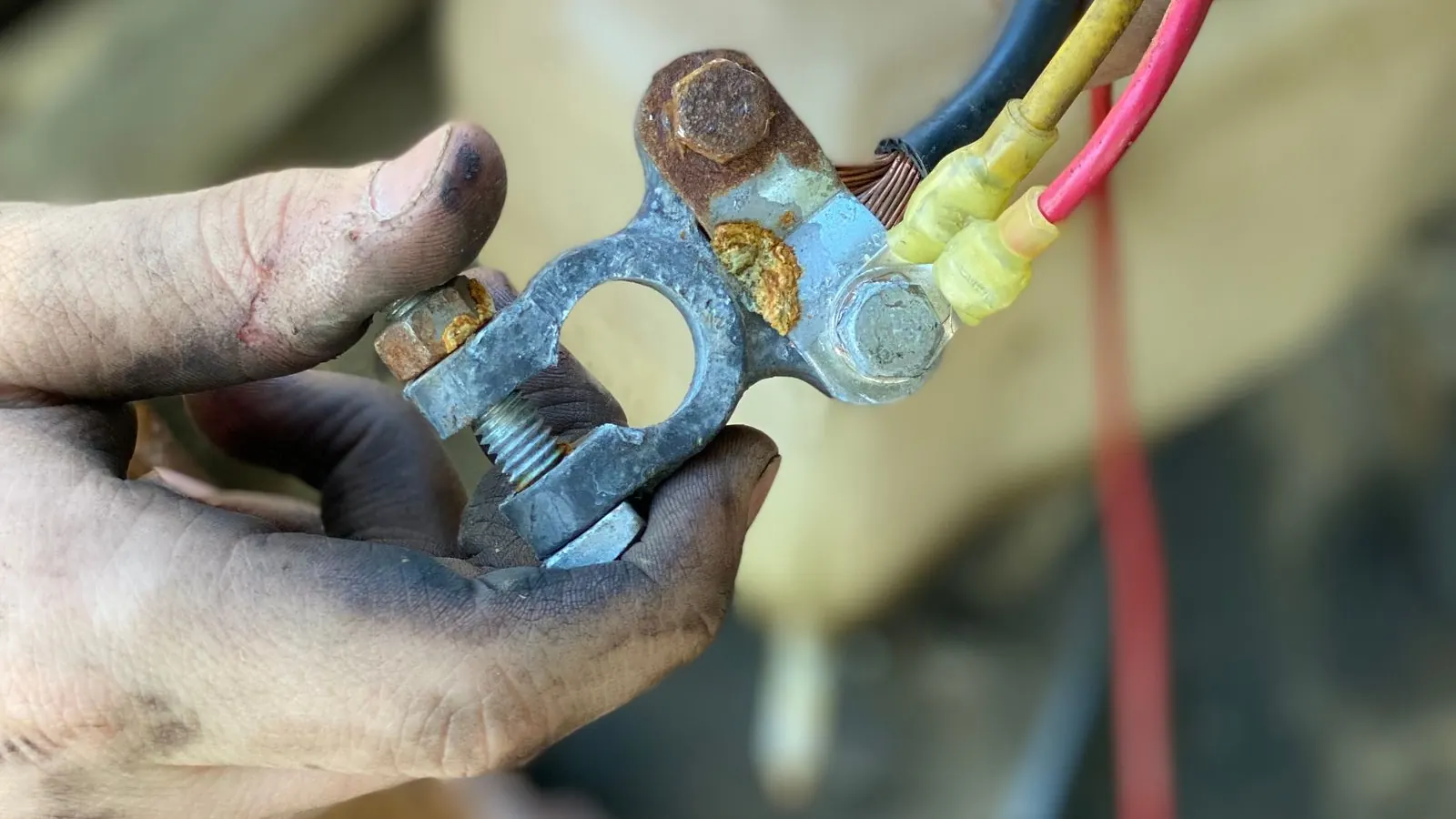 A corroded car battery terminal being inspected